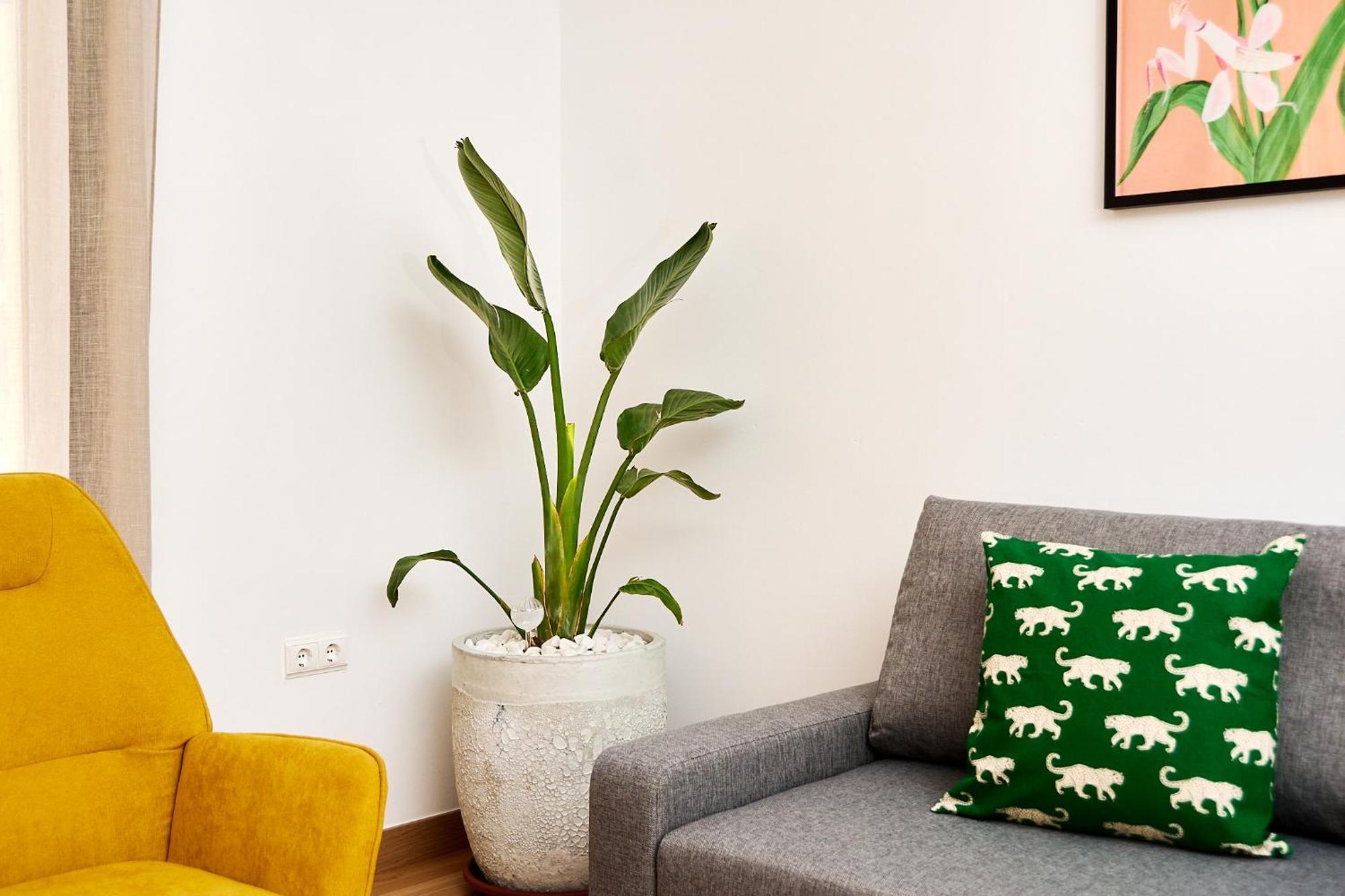 Ferienwohnung Que Bueno Que Viniste Caces Exterior foto
